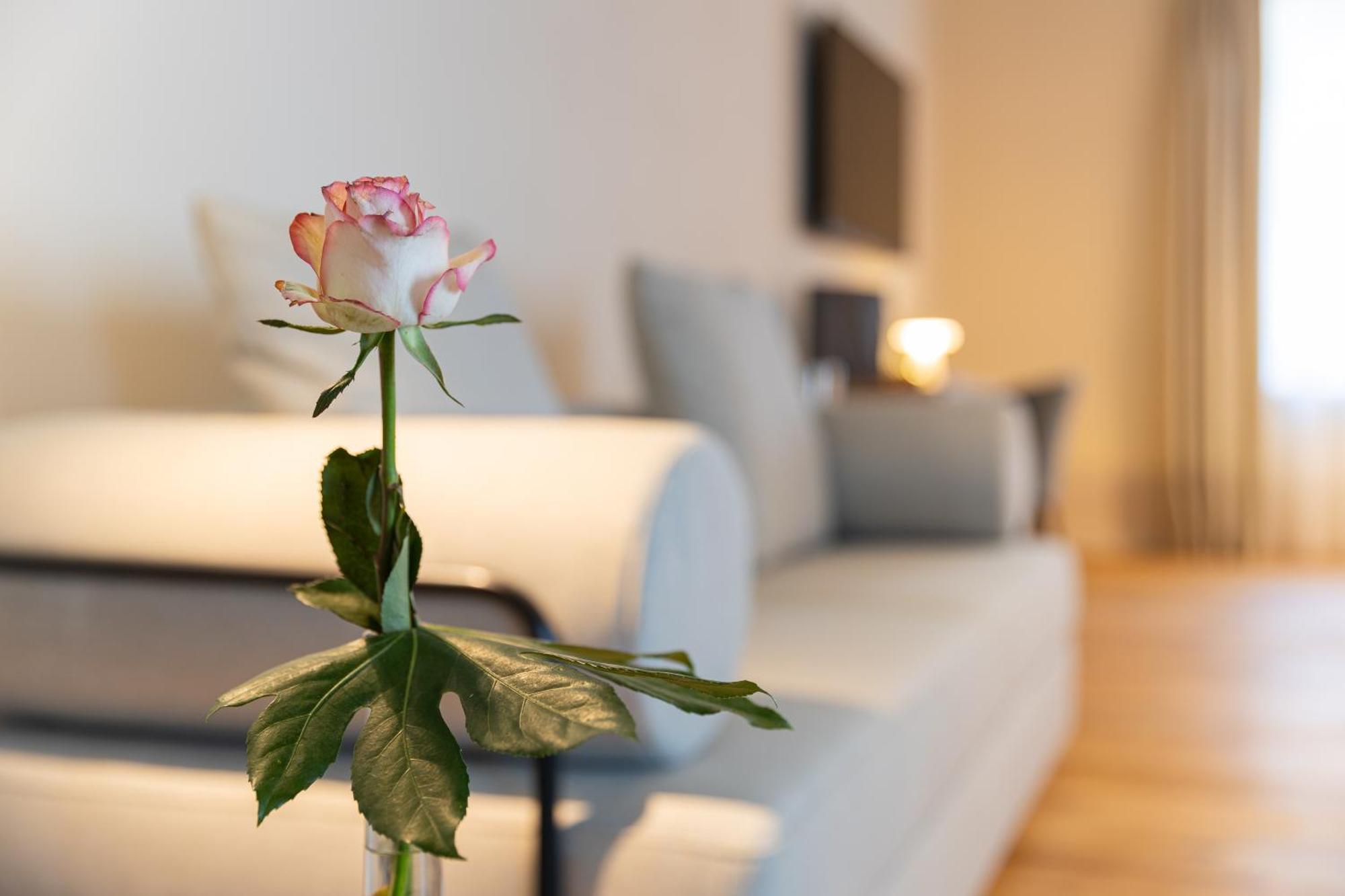 Boutique Hotel Gruener Zweig Schlettau المظهر الخارجي الصورة